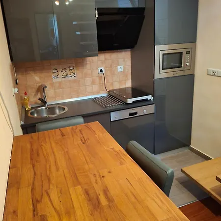 Luxury With Whirpool And Terace 50 M2 Apartament Posedarje