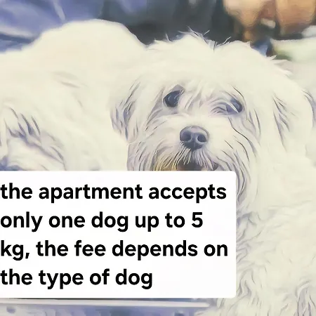 아파트 Luxury With Whirpool And Terace 50 M2