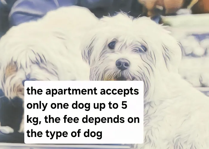 아파트 Luxury With Whirpool And Terace 50 M2